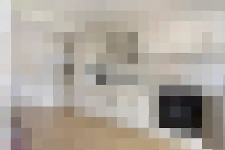 Pastoor Zitzenlaan 10 Obbicht thumbnail 22