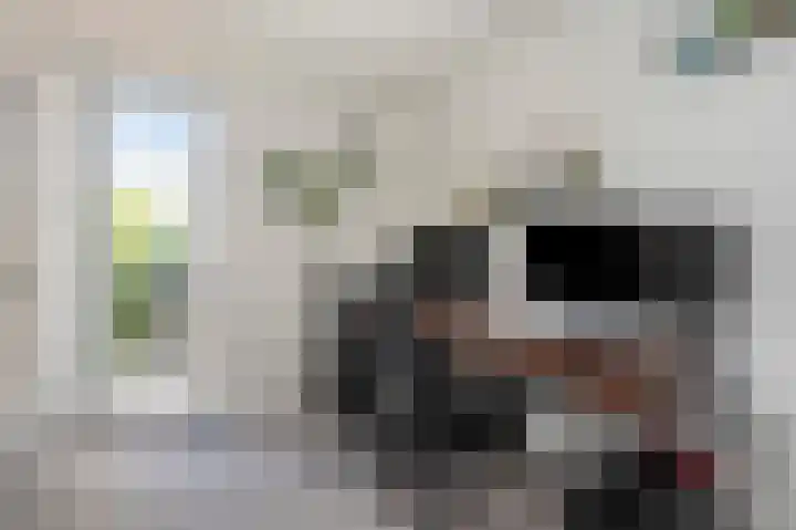 Pastoor Zitzenlaan 10 Obbicht thumbnail 23