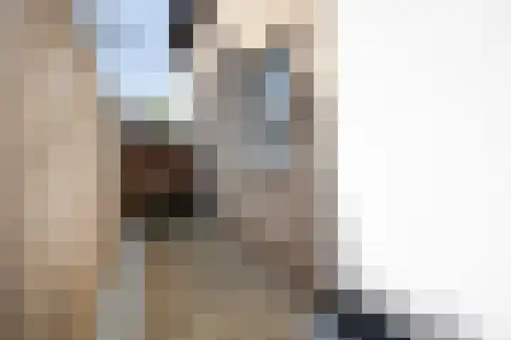 Pastoor Zitzenlaan 10 Obbicht thumbnail 25