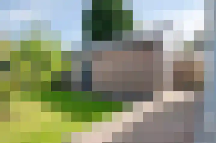 Pastoor Zitzenlaan 10 Obbicht thumbnail 26