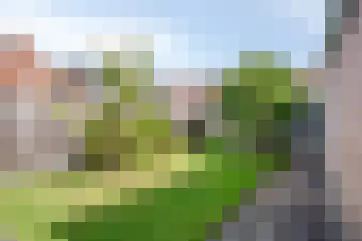 Pastoor Zitzenlaan 10 Obbicht thumbnail 27