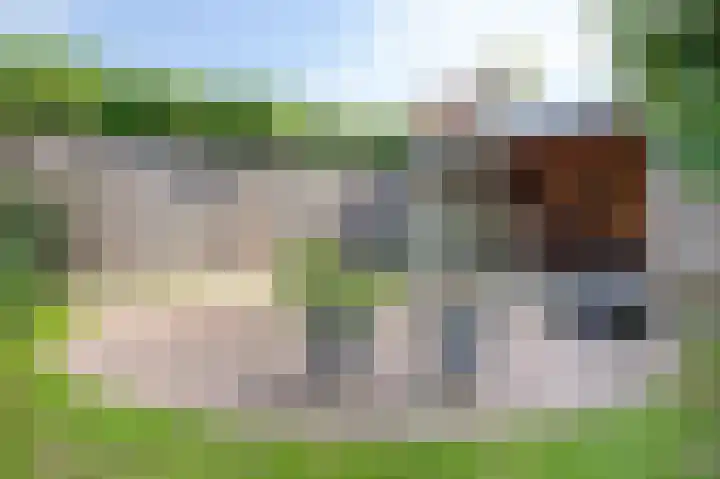 Pastoor Zitzenlaan 10 Obbicht thumbnail 28