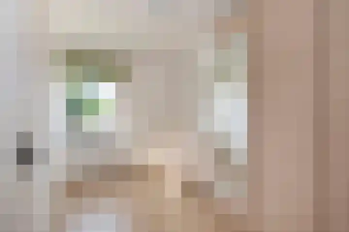 Pastoor Zitzenlaan 10 Obbicht thumbnail 32
