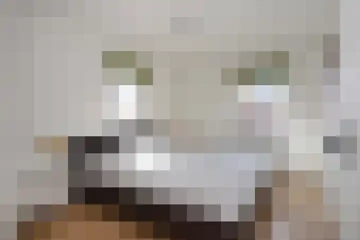 Pastoor Zitzenlaan 10 Obbicht thumbnail 33