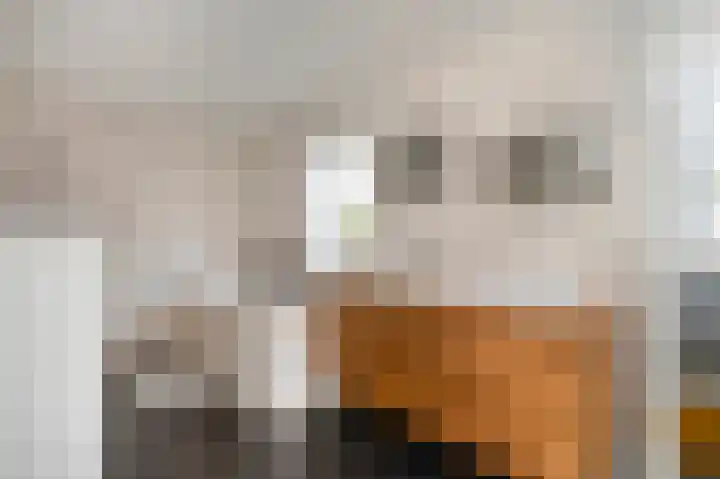 Pastoor Zitzenlaan 10 Obbicht thumbnail 34