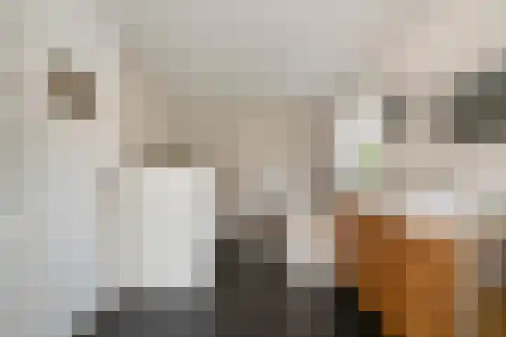 Pastoor Zitzenlaan 10 Obbicht thumbnail 35