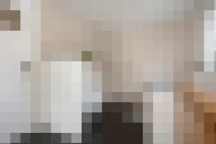 Pastoor Zitzenlaan 10 Obbicht thumbnail 36