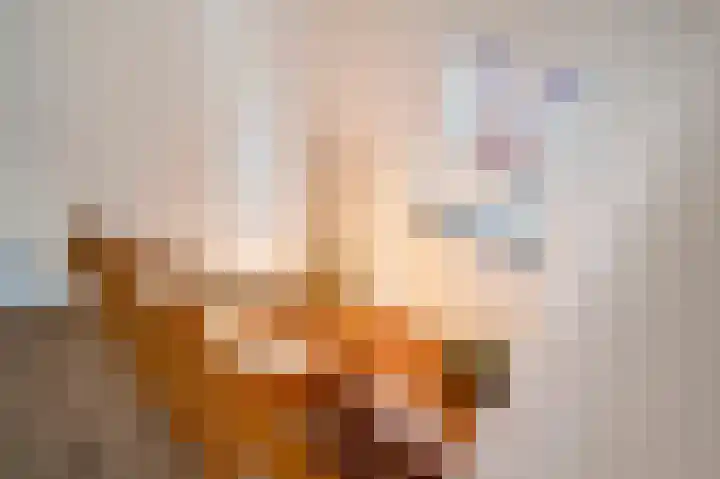 Pastoor Zitzenlaan 10 Obbicht thumbnail 4