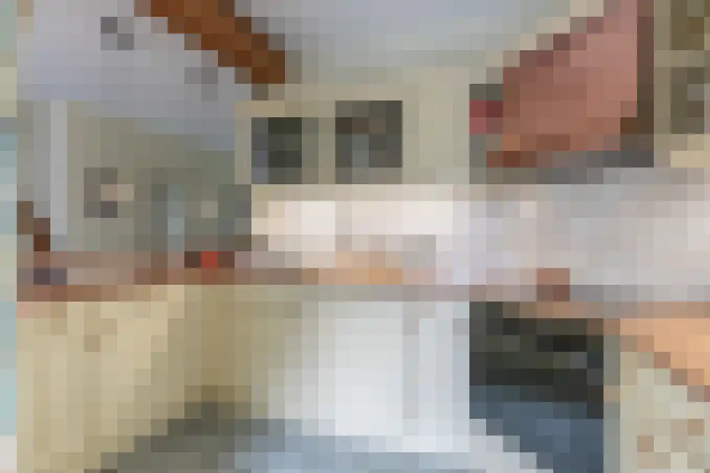 Pastoorakker 23 Hoevelaken thumbnail 12