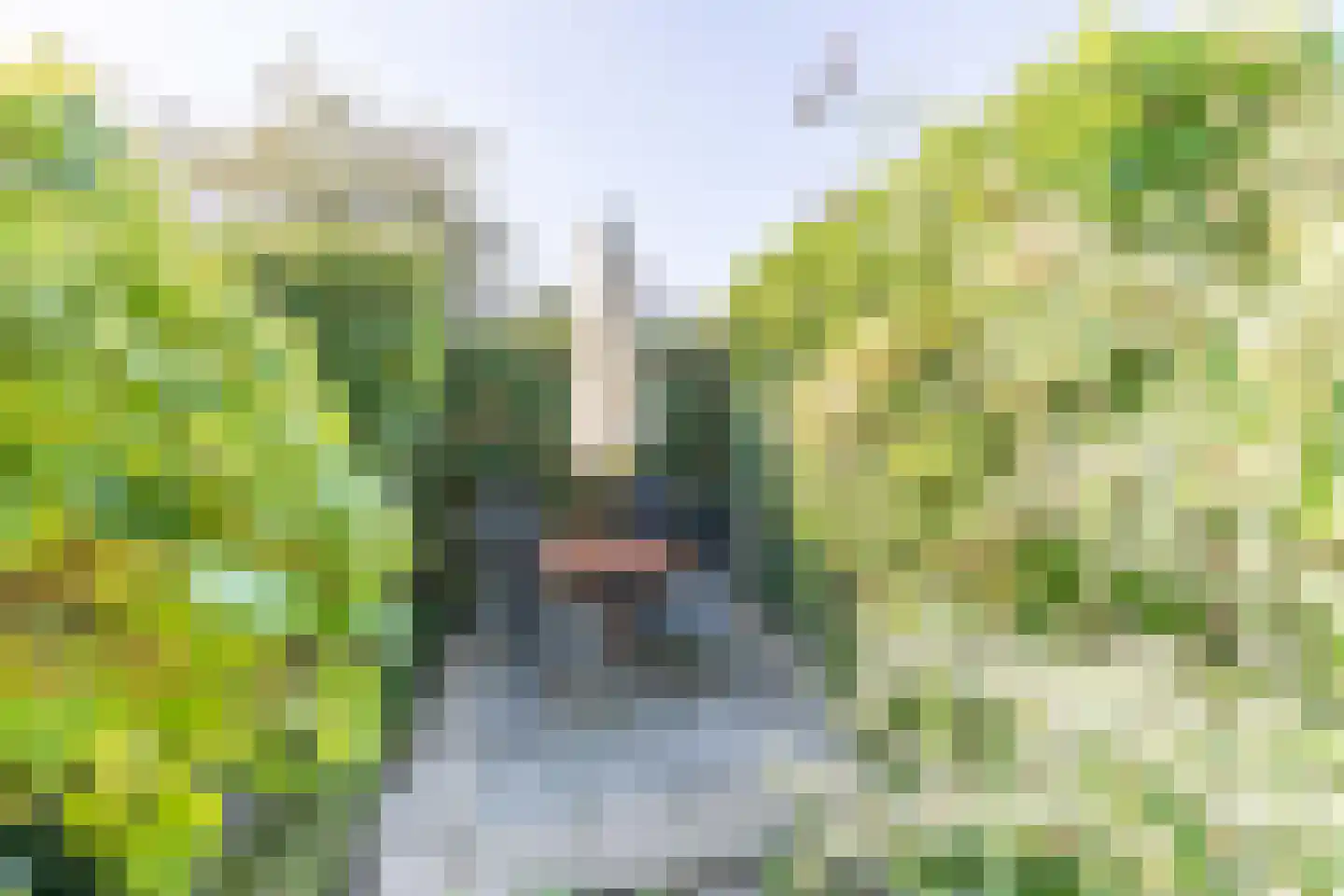 Pastoorakker 23 Hoevelaken thumbnail 18