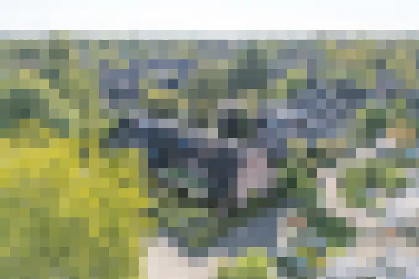 Pastoorakker 23 Hoevelaken thumbnail 32