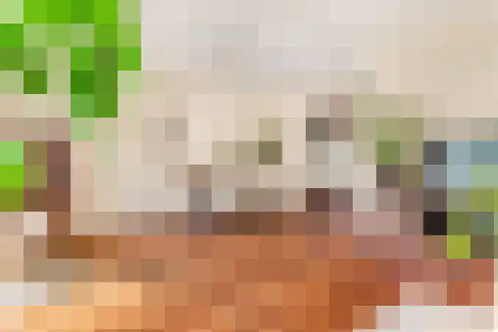 Pastoors acker 21 Heemskerk thumbnail 13