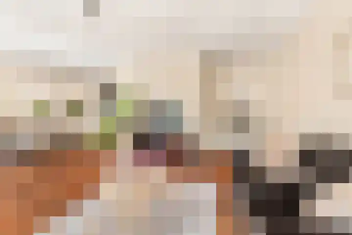 Pastoors acker 21 Heemskerk thumbnail 15