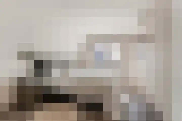 Pastoors acker 21 Heemskerk thumbnail 35