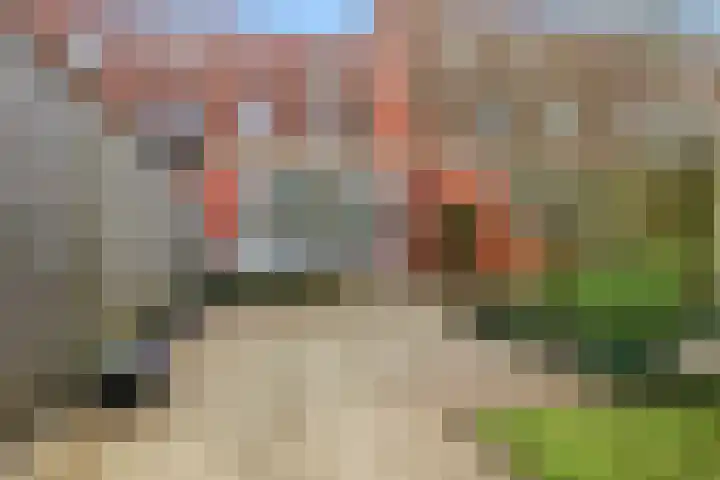 Pastoors acker 40 Heemskerk thumbnail 23