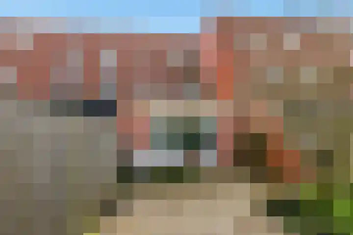 Pastoors acker 40 Heemskerk thumbnail 24