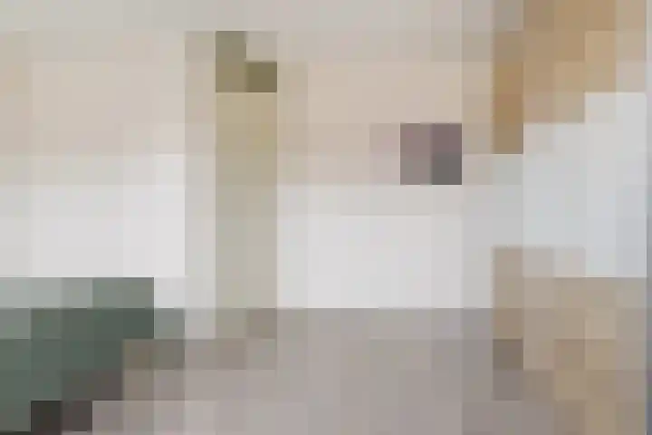 Pastoors acker 40 Heemskerk thumbnail 33