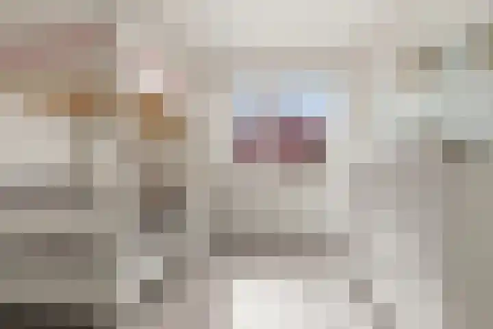 Pastoors acker 40 Heemskerk thumbnail 35