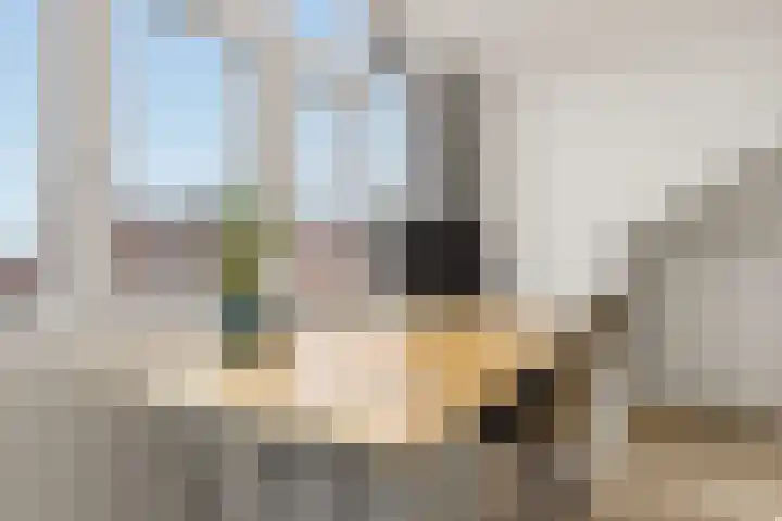 Pastoors acker 40 Heemskerk thumbnail 46
