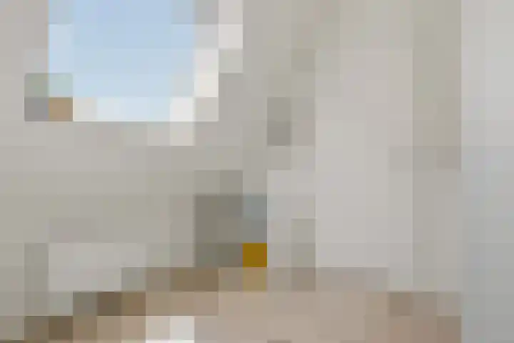 Pastoors acker 40 Heemskerk thumbnail 48
