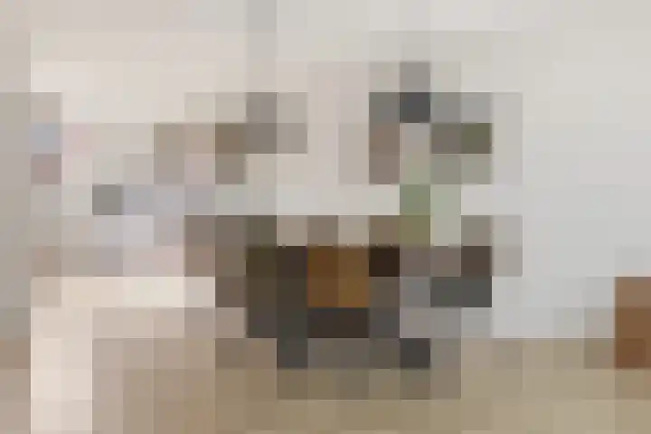 Pastoors acker 40 Heemskerk thumbnail 8