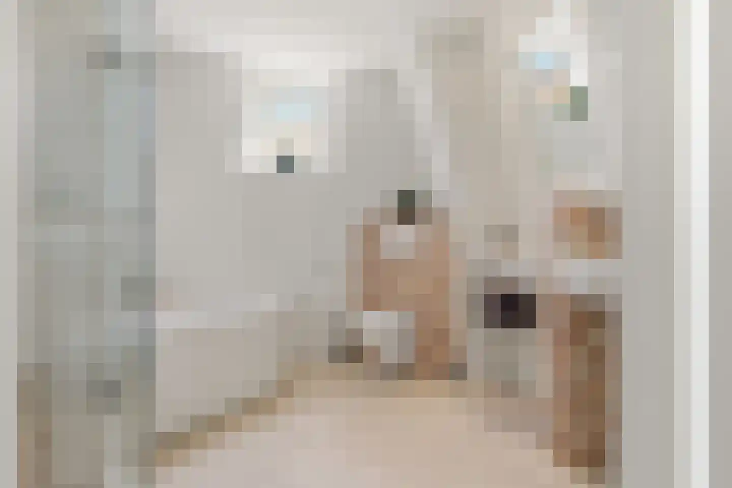Pastoors acker 53 Heemskerk thumbnail 34