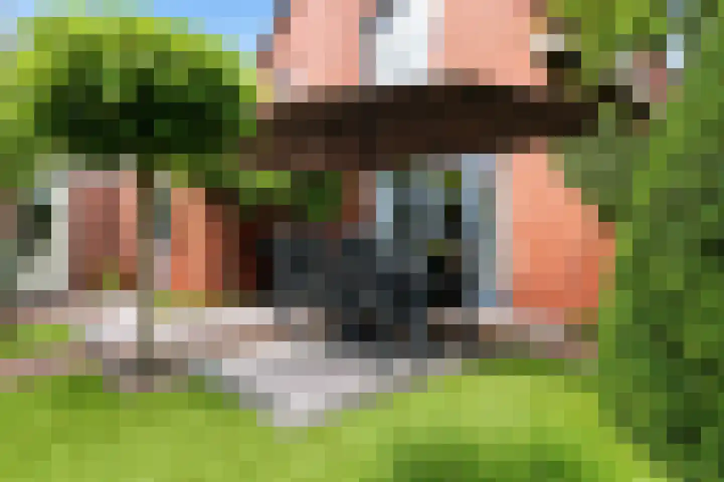 Pastoors acker 53 Heemskerk thumbnail 52