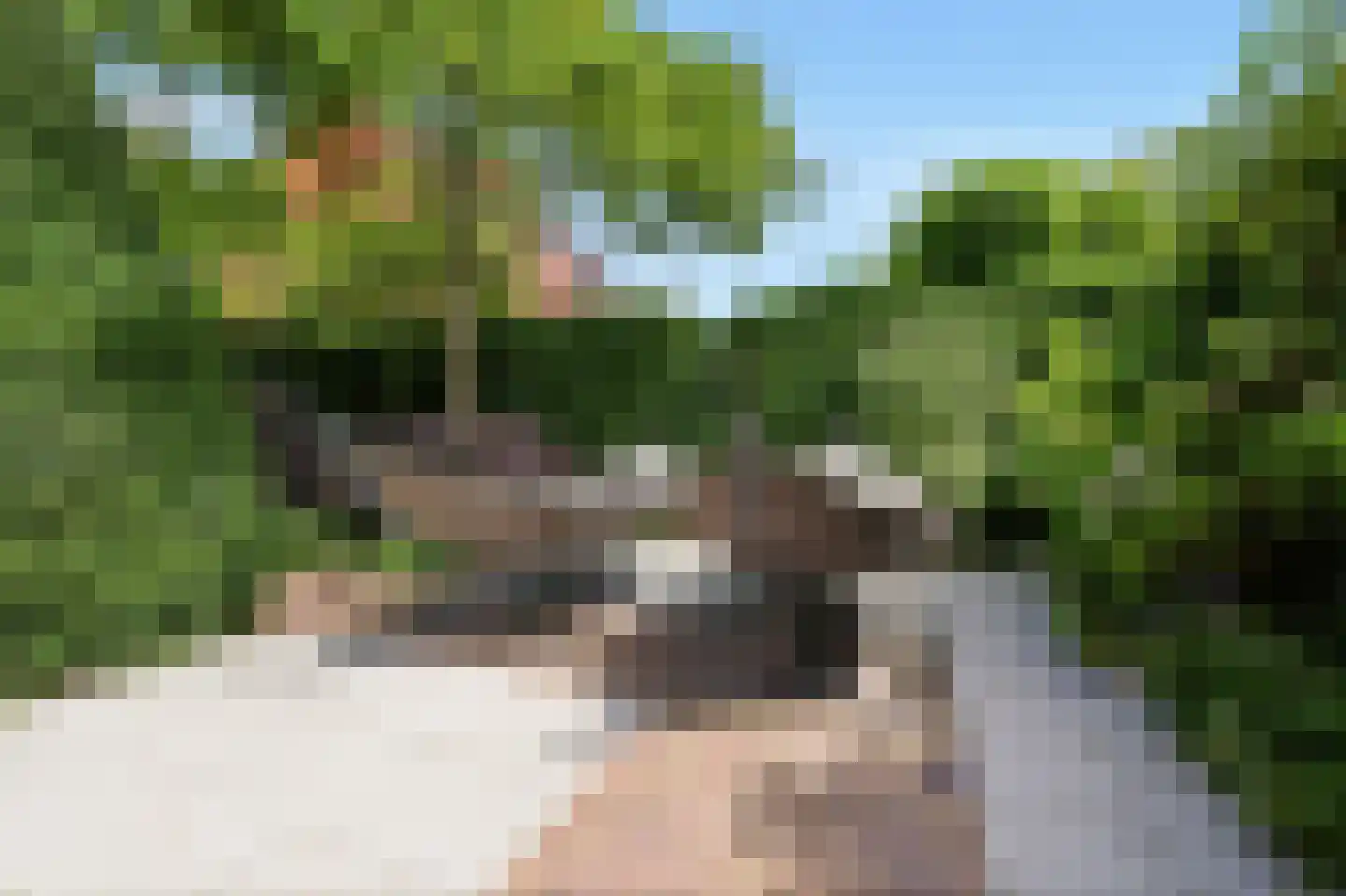 Pastoors acker 53 Heemskerk thumbnail 54