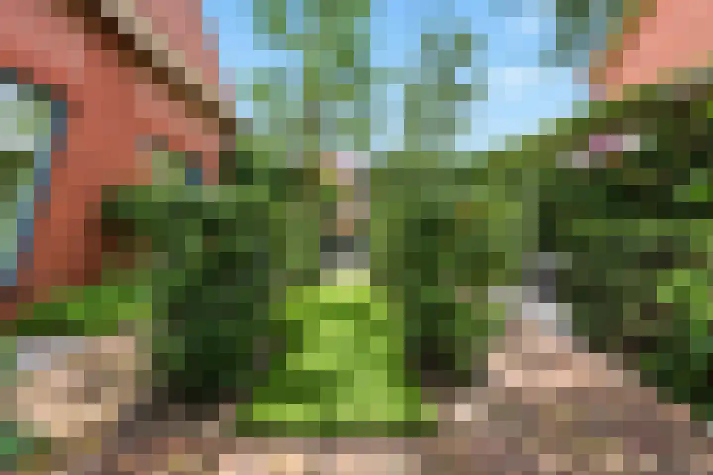 Pastoors acker 53 Heemskerk thumbnail 64