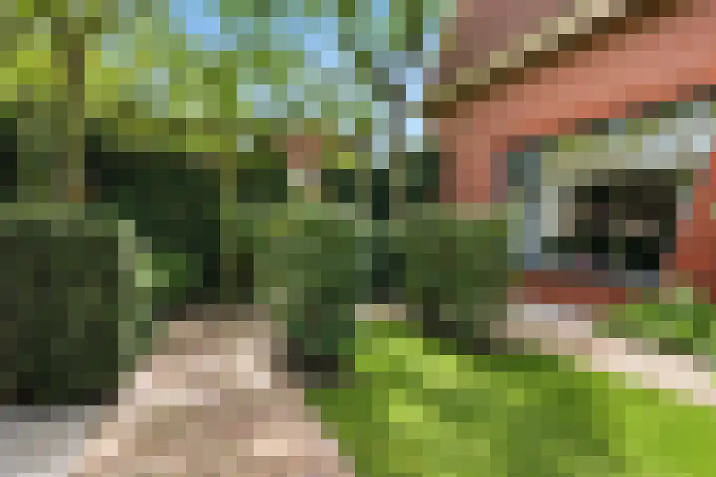 Pastoors acker 53 Heemskerk thumbnail 65