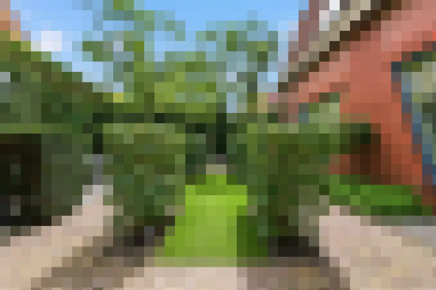 Pastoors acker 53 Heemskerk thumbnail 66