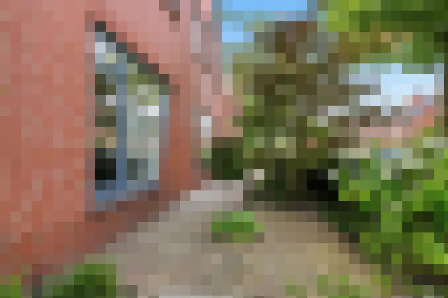 Pastoors acker 53 Heemskerk thumbnail 68