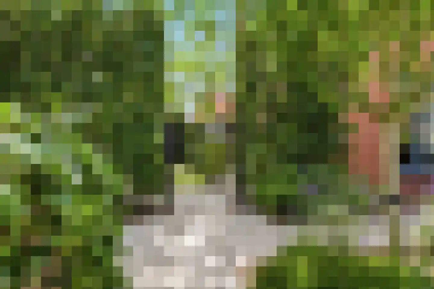 Pastoors acker 53 Heemskerk thumbnail 69