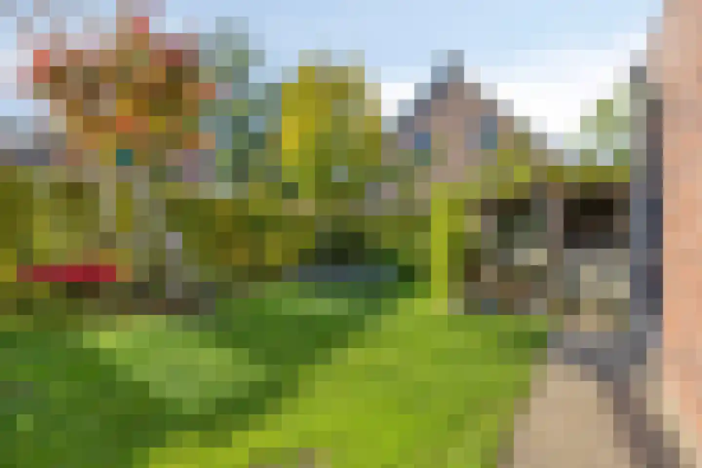 Pastoorsbiest 45 Boxmeer thumbnail 12