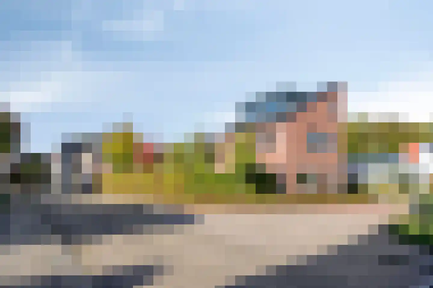 Pastoorsbiest 45 Boxmeer thumbnail 15