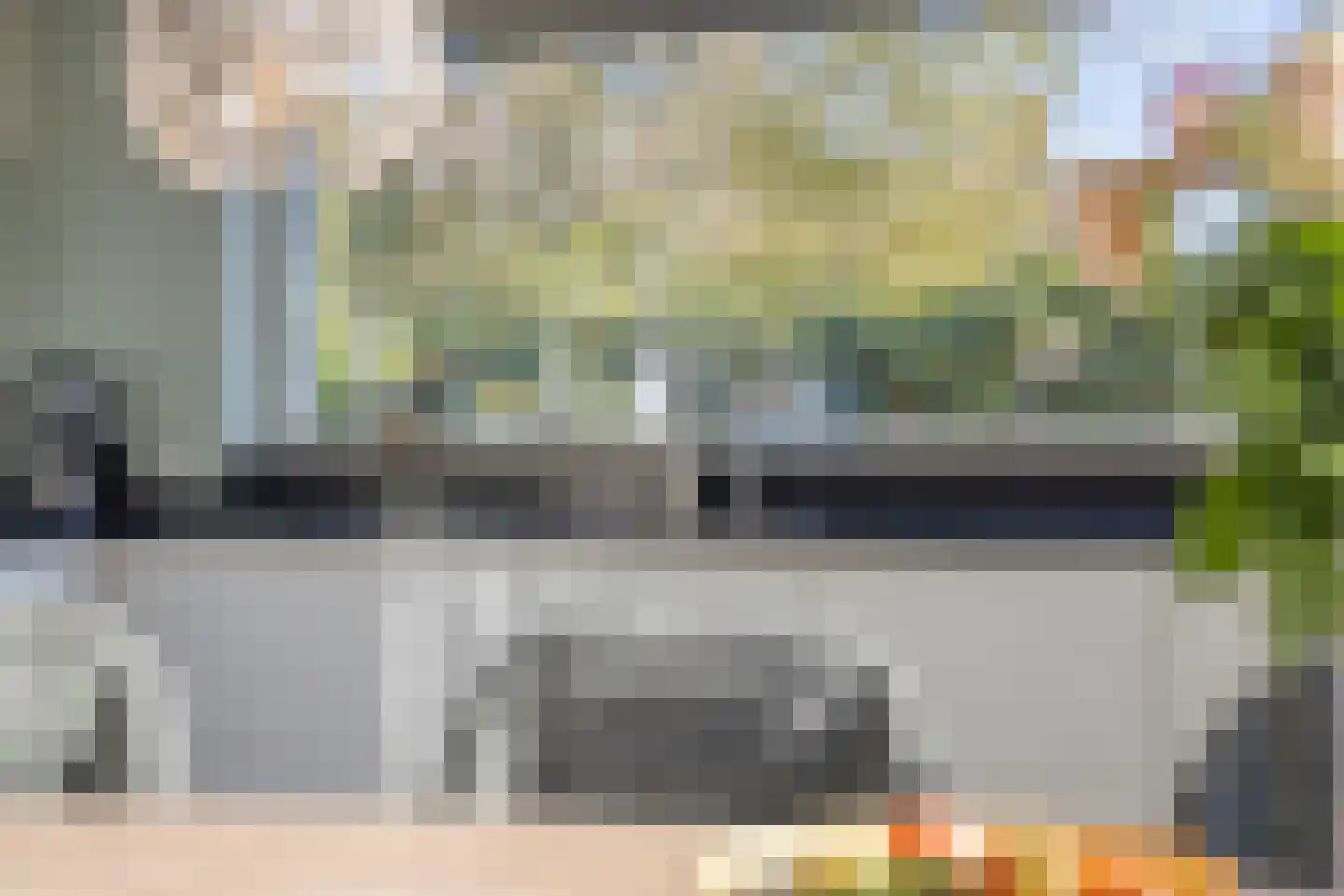 Pastoorsbiest 45 Boxmeer thumbnail 24