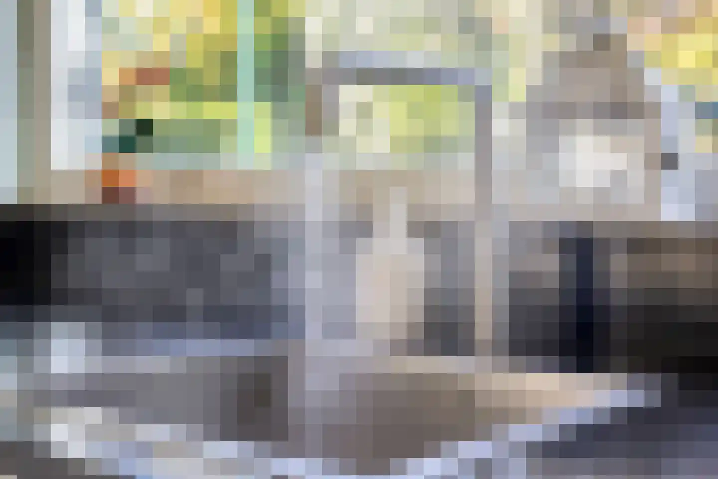 Pastoorsbiest 45 Boxmeer thumbnail 25