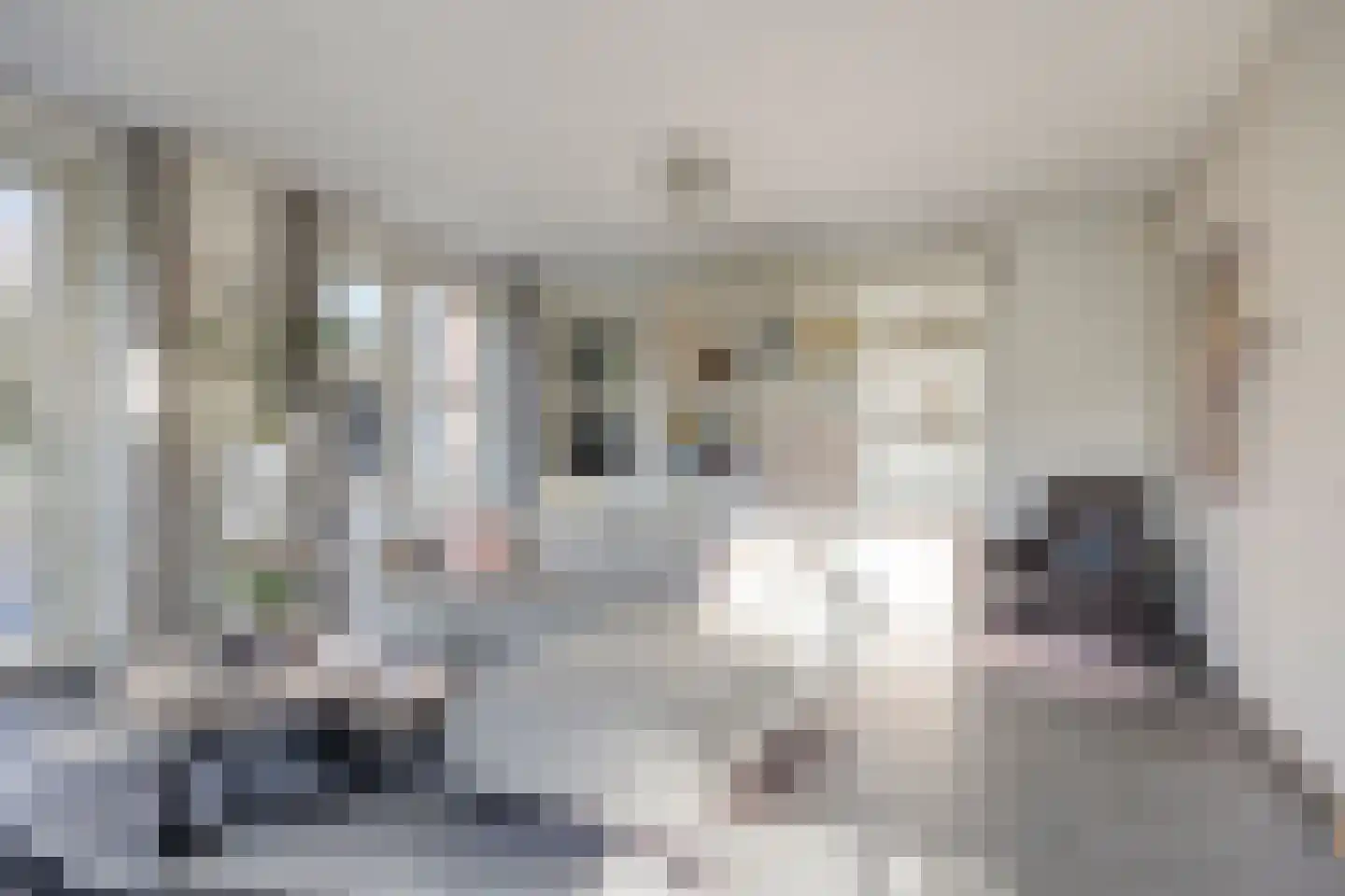 Pastoorsbiest 45 Boxmeer thumbnail 29