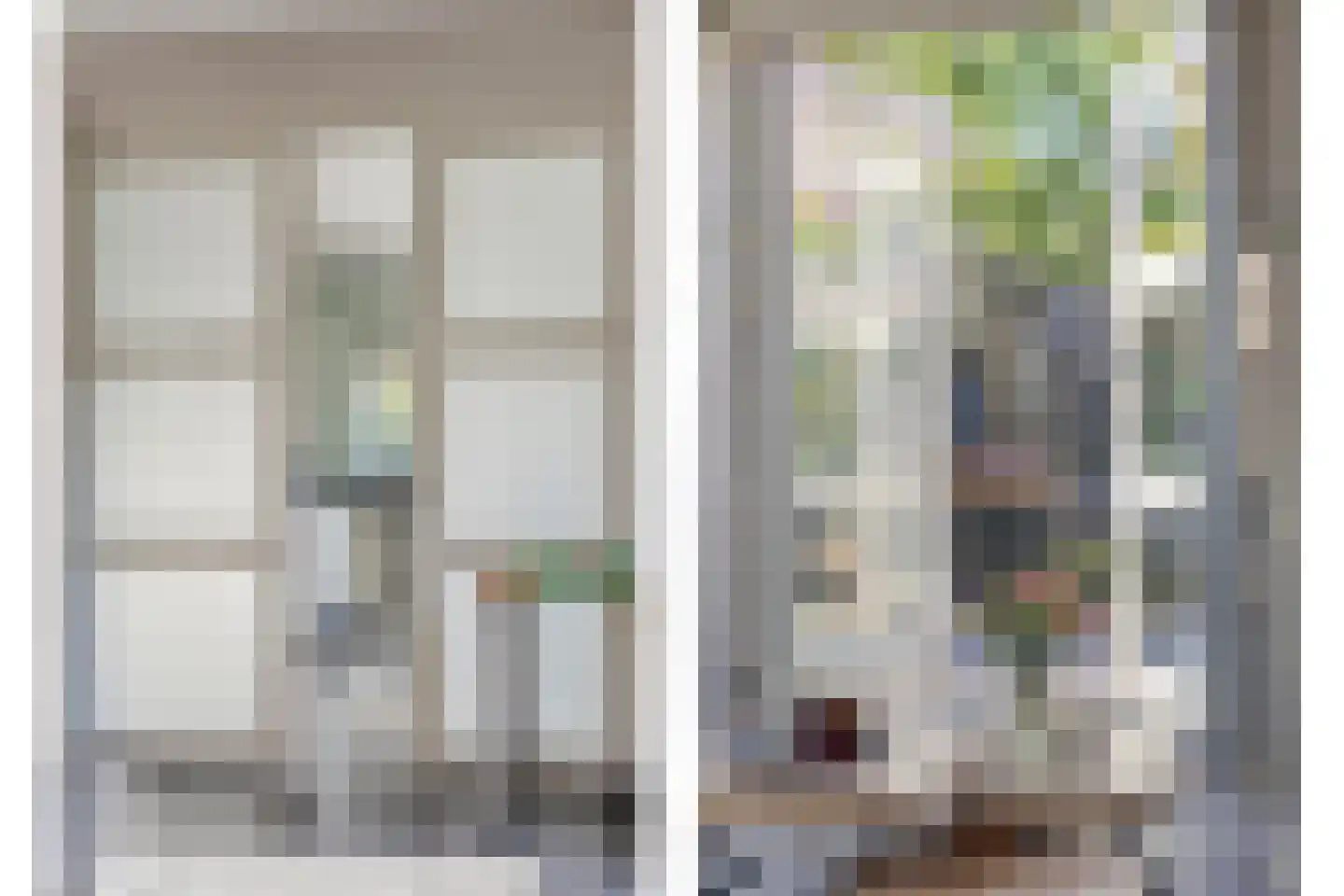 Pastoorsbiest 45 Boxmeer thumbnail 33