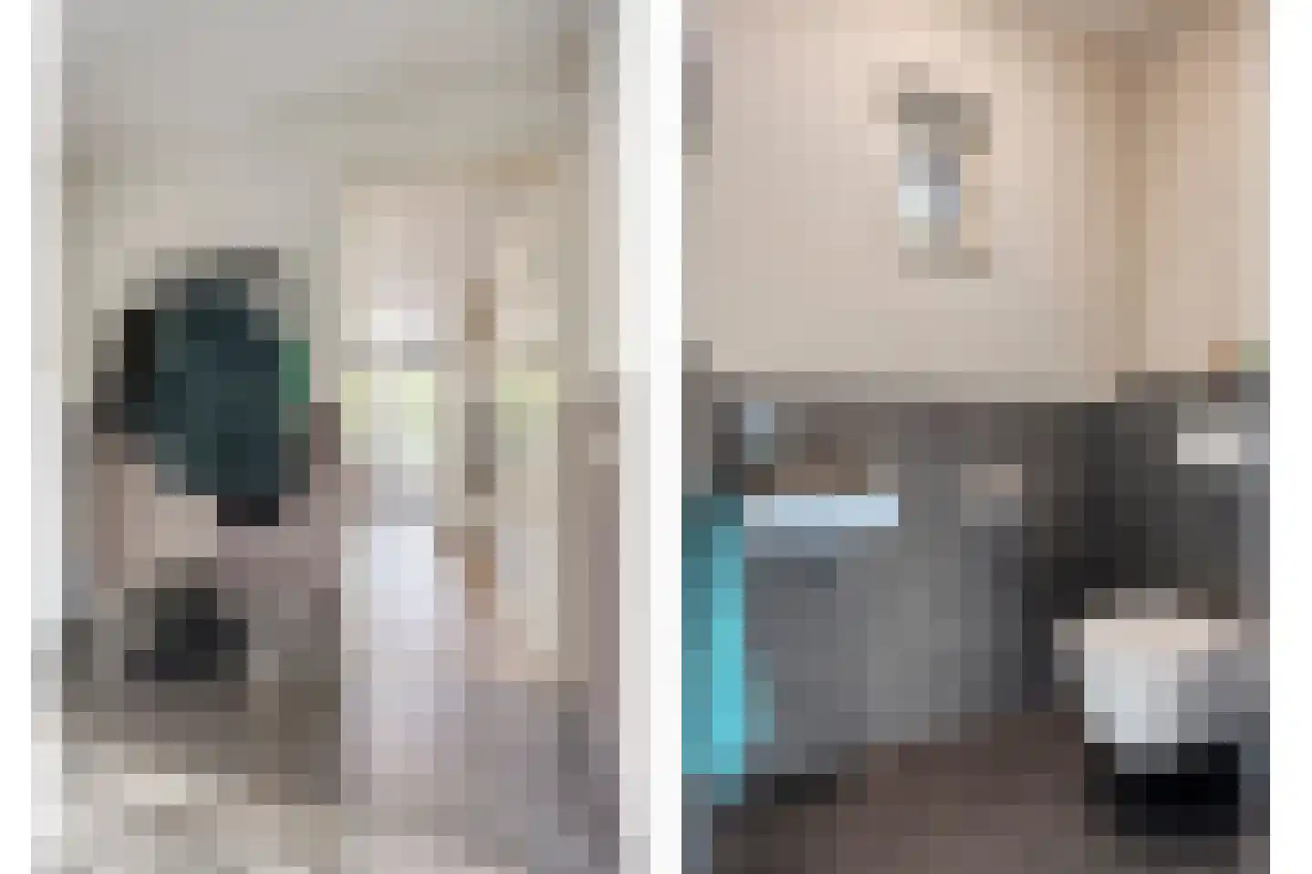 Pastoorsbiest 45 Boxmeer thumbnail 35
