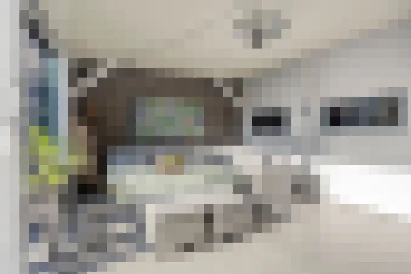 Pastoorsbiest 45 Boxmeer thumbnail 36