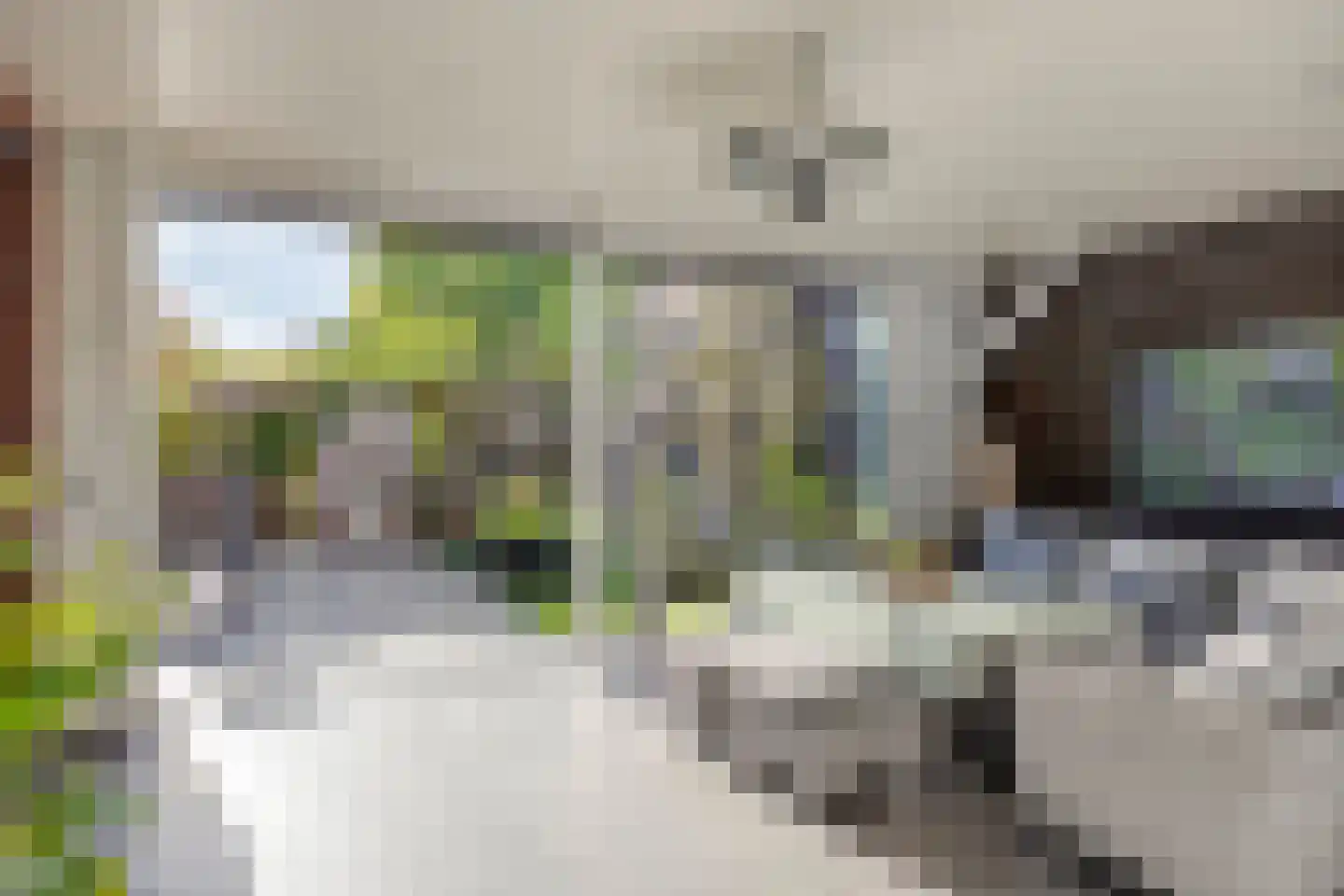 Pastoorsbiest 45 Boxmeer thumbnail 37