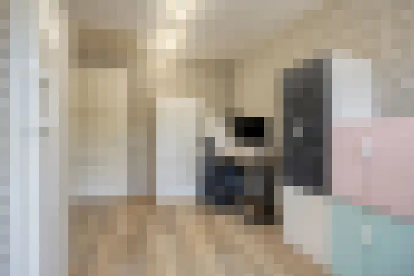 Pastoorsbiest 45 Boxmeer thumbnail 39