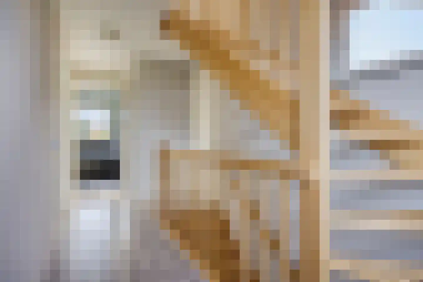 Pastoorsbiest 45 Boxmeer thumbnail 41