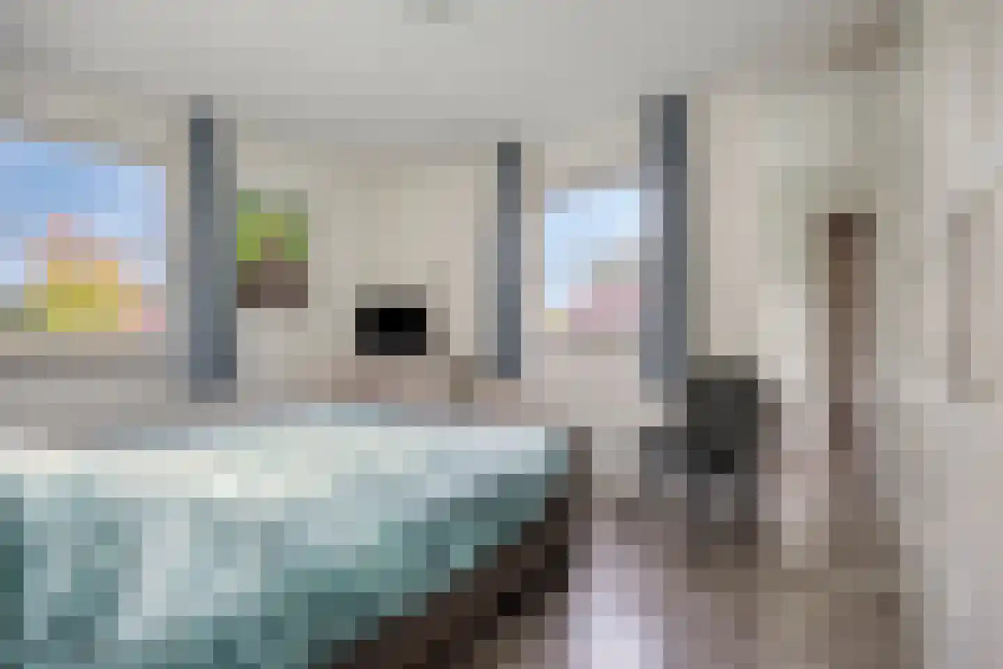 Pastoorsbiest 45 Boxmeer thumbnail 42