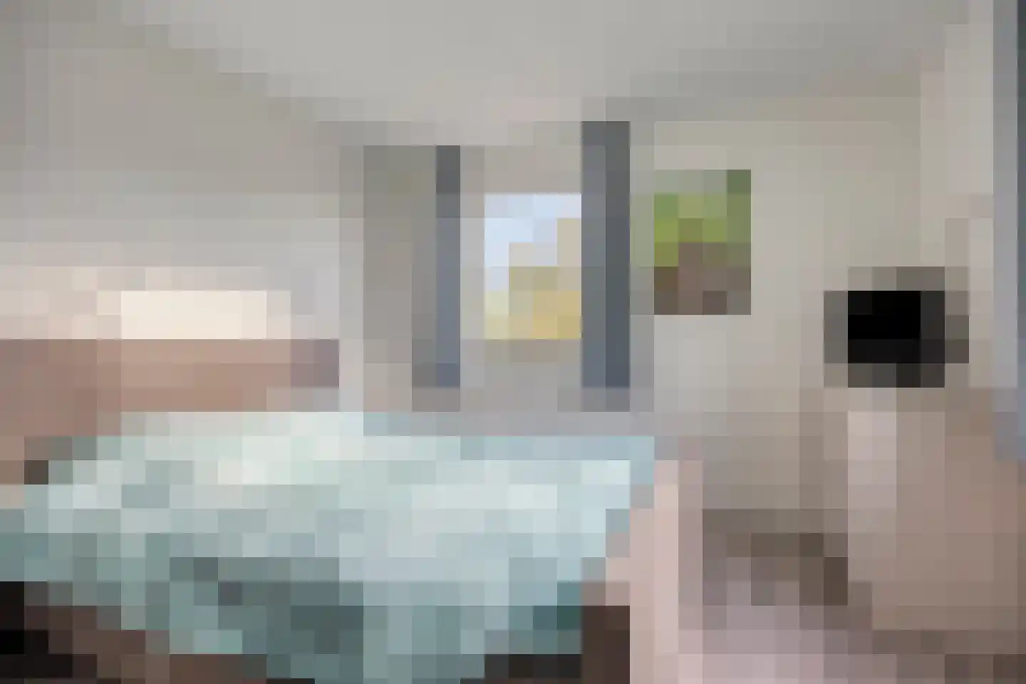 Pastoorsbiest 45 Boxmeer thumbnail 43