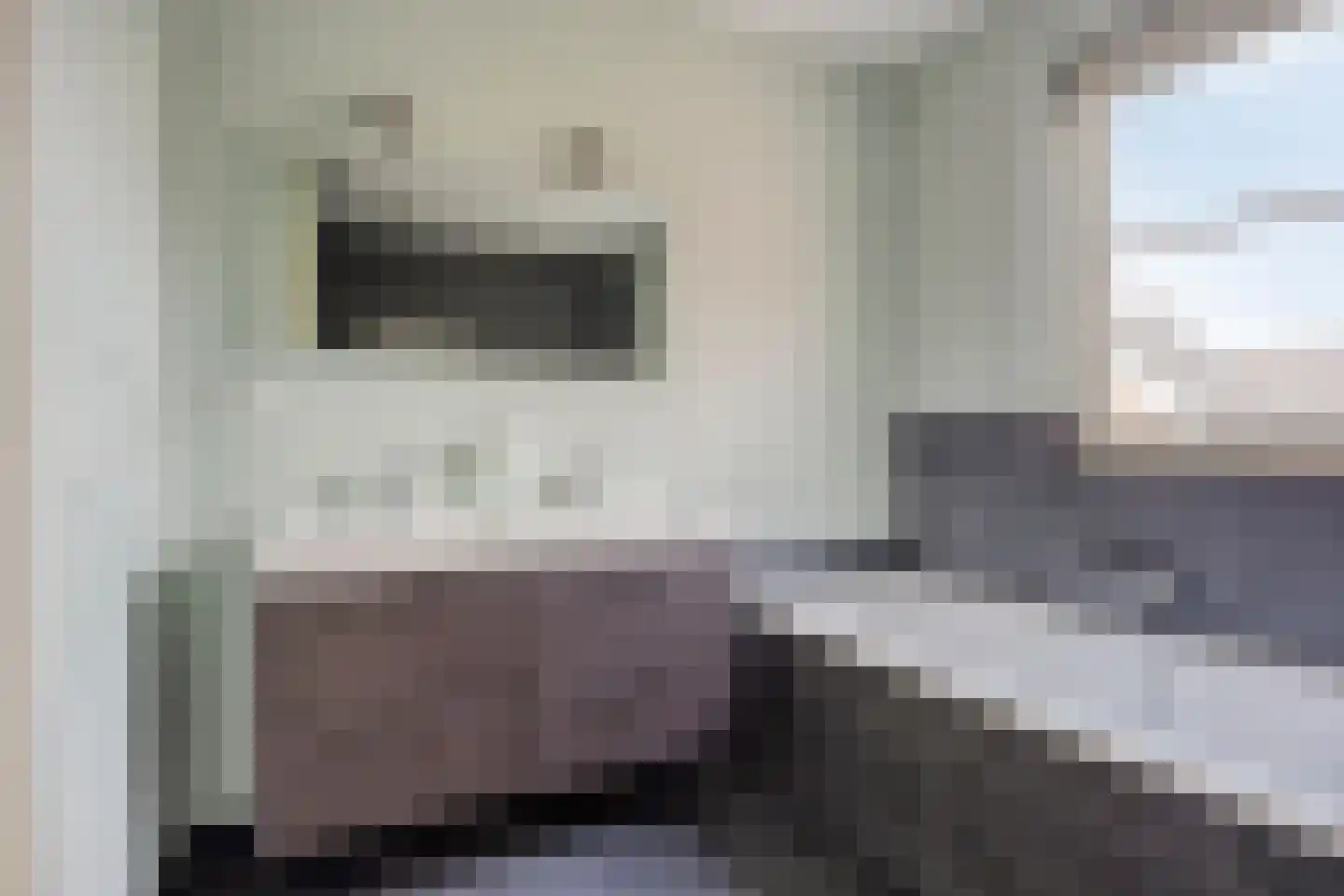 Pastoorsbiest 45 Boxmeer thumbnail 46