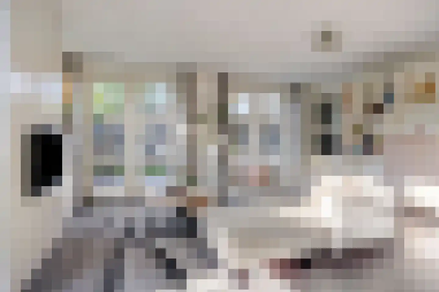 Pastoorsbiest 45 Boxmeer thumbnail 5