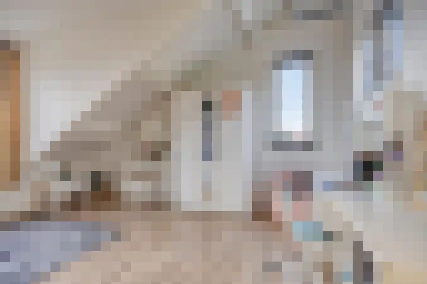 Pastoorsbiest 45 Boxmeer thumbnail 53