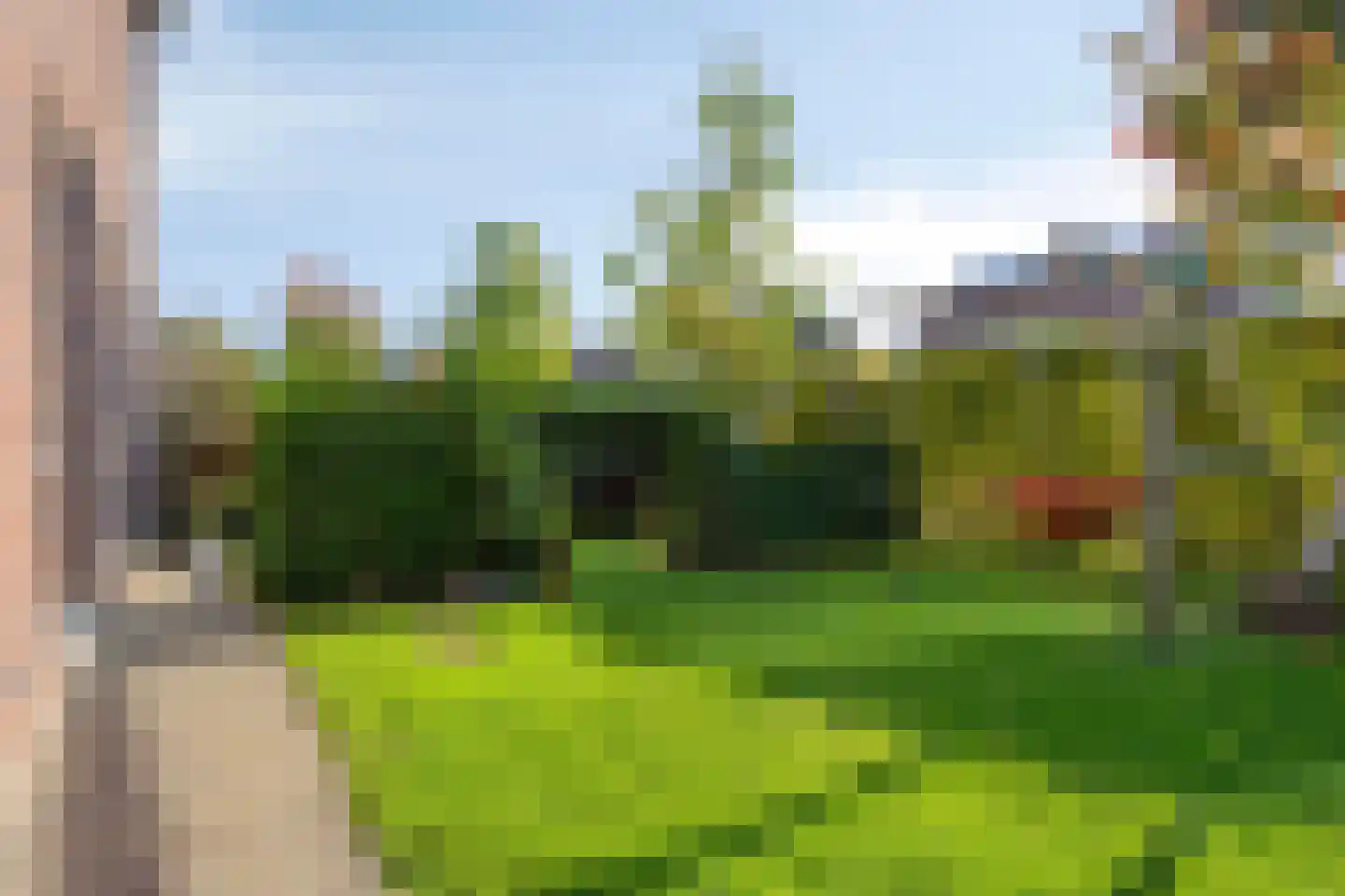 Pastoorsbiest 45 Boxmeer thumbnail 59